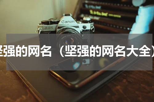 坚强的网名（坚强的网名大全）