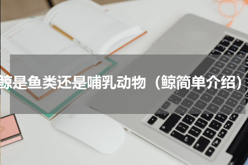 鲸是鱼类还是哺乳动物（鲸简单介绍）