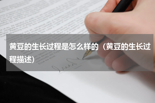 黄豆的生长过程是怎么样的（黄豆的生长过程描述）
