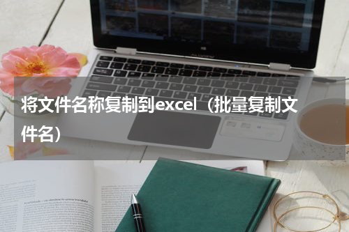 将文件名称复制到excel（批量复制文件名）