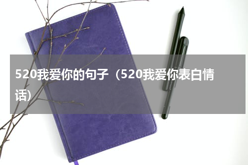 520我爱你的句子（520我爱你表白情话）