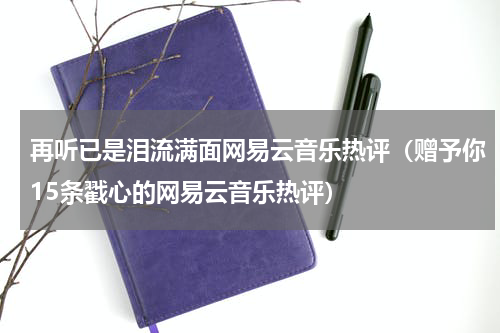 再听已是泪流满面网易云音乐热评（赠予你15条戳心的网易云音乐热评）
