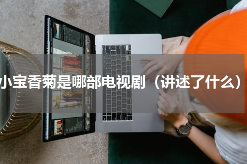 小宝香菊是哪部电视剧（讲述了什么）