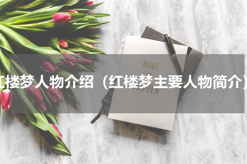 红楼梦人物介绍（红楼梦主要人物简介）