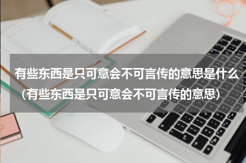 有些东西是只可意会不可言传的意思是什么（有些东西是只可意会不可言传的意思）