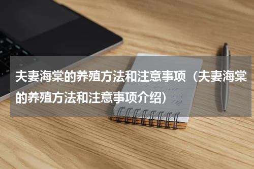 夫妻海棠的养殖方法和注意事项（夫妻海棠的养殖方法和注意事项介绍）