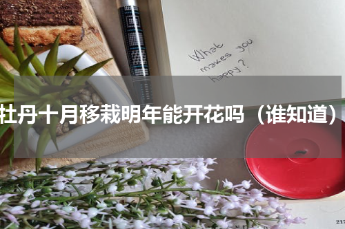 牡丹十月移栽明年能开花吗（谁知道）