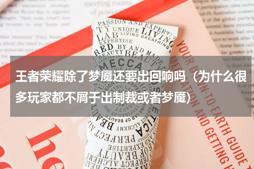 王者荣耀除了梦魇还要出回响吗（为什么很多玩家都不屑于出制裁或者梦魇）