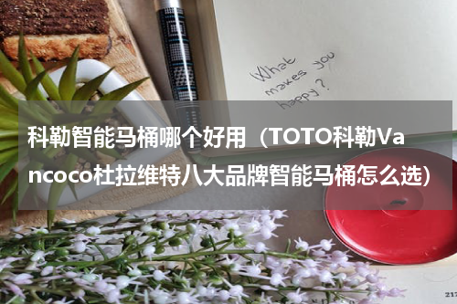 科勒智能马桶哪个好用（TOTO科勒Vancoco杜拉维特八大品牌智能马桶怎么选）