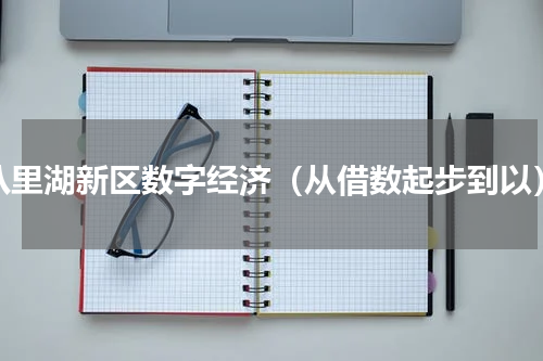 八里湖新区数字经济（从借数起步到以）