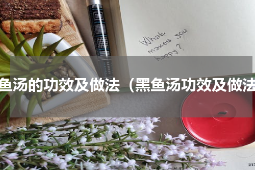 黑鱼汤的功效及做法（黑鱼汤功效及做法）