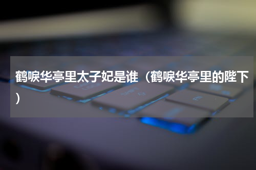 鹤唳华亭里太子妃是谁（鹤唳华亭里的陛下）