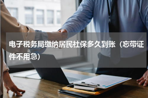 电子税务局缴纳居民社保多久到账（忘带证件不用急）