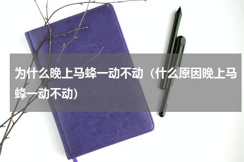 为什么晚上马蜂一动不动（什么原因晚上马蜂一动不动）