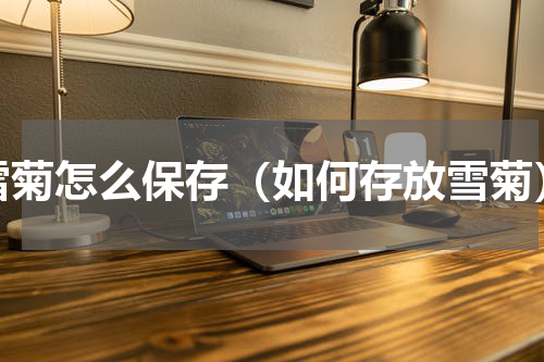 雪菊怎么保存（如何存放雪菊）