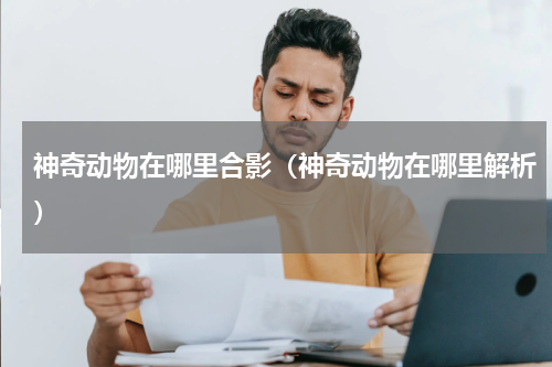 神奇动物在哪里合影（神奇动物在哪里解析）