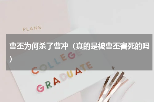 曹丕为何杀了曹冲（真的是被曹丕害死的吗）