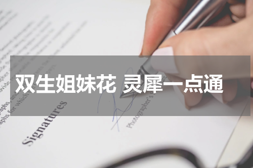 双生姐妹花 灵犀一点通