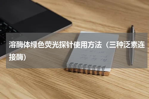 溶酶体绿色荧光探针使用方法（三种泛素连接酶）