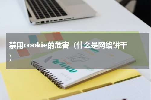 禁用cookie的危害（什么是网络饼干）