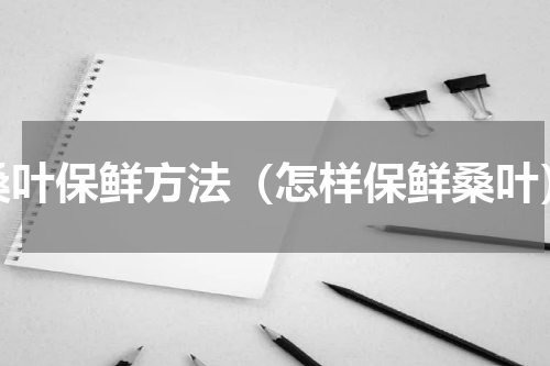桑叶保鲜方法（怎样保鲜桑叶）