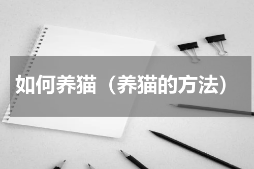 如何养猫（养猫的方法）