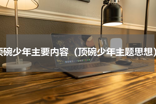 顶碗少年主要内容（顶碗少年主题思想）