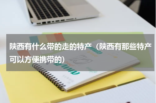 陕西有什么带的走的特产（陕西有那些特产可以方便携带的）
