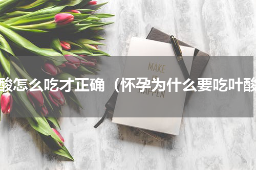 叶酸怎么吃才正确（怀孕为什么要吃叶酸）