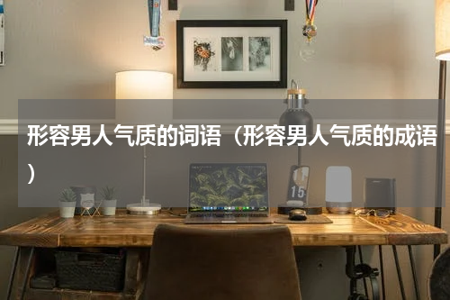 形容男人气质的词语（形容男人气质的成语）