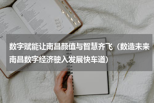 数字赋能让南昌颜值与智慧齐飞（数造未来南昌数字经济驶入发展快车道）