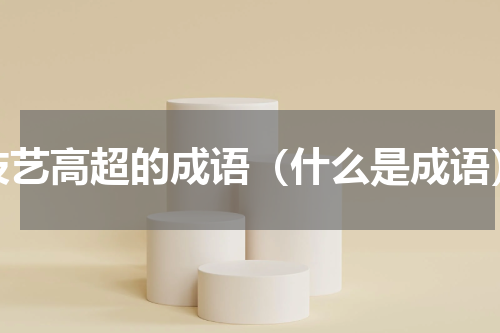 技艺高超的成语（什么是成语）