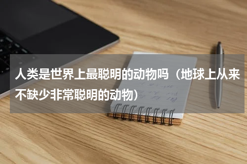 人类是世界上最聪明的动物吗（地球上从来不缺少非常聪明的动物）