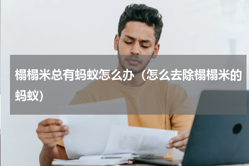榻榻米总有蚂蚁怎么办（怎么去除榻榻米的蚂蚁）