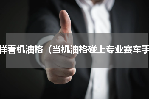 怎样看机油格（当机油格碰上专业赛车手）