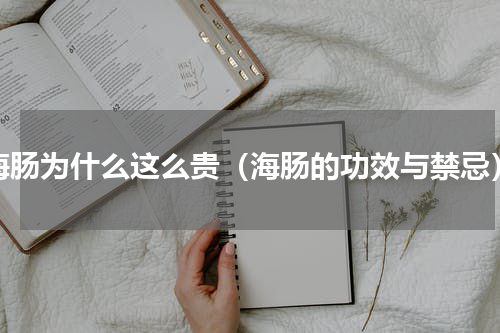 海肠为什么这么贵（海肠的功效与禁忌）