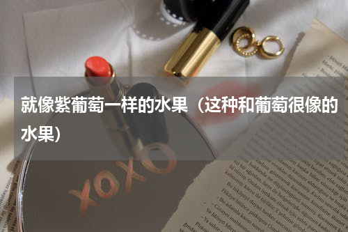 就像紫葡萄一样的水果（这种和葡萄很像的水果）