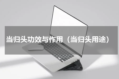 当归头功效与作用（当归头用途）