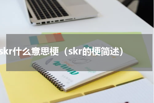 skr什么意思梗（skr的梗简述）