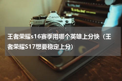 王者荣耀s16赛季用哪个英雄上分快（王者荣耀S17想要稳定上分）
