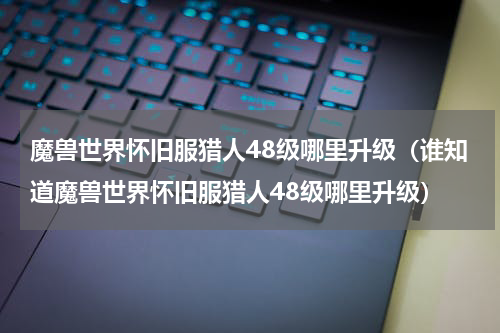 魔兽世界怀旧服猎人48级哪里升级（谁知道魔兽世界怀旧服猎人48级哪里升级）