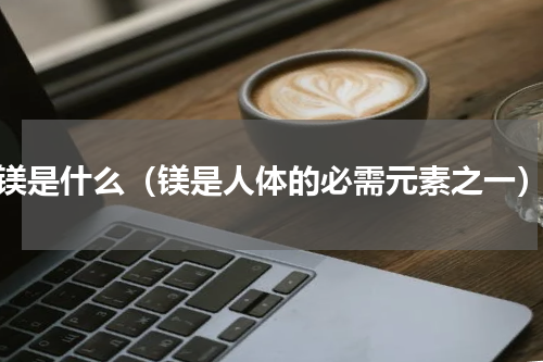 镁是什么（镁是人体的必需元素之一）