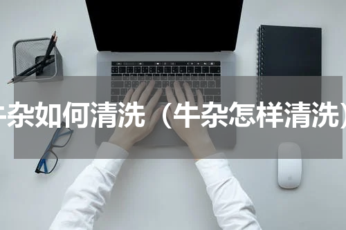 牛杂如何清洗（牛杂怎样清洗）