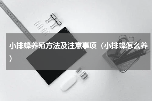 小排蜂养殖方法及注意事项（小排蜂怎么养）