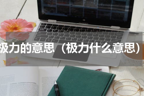 极力的意思（极力什么意思）