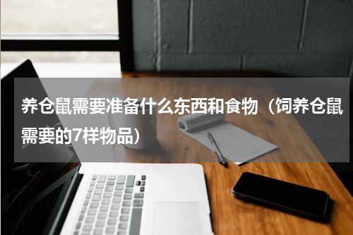养仓鼠需要准备什么东西和食物（饲养仓鼠需要的7样物品）