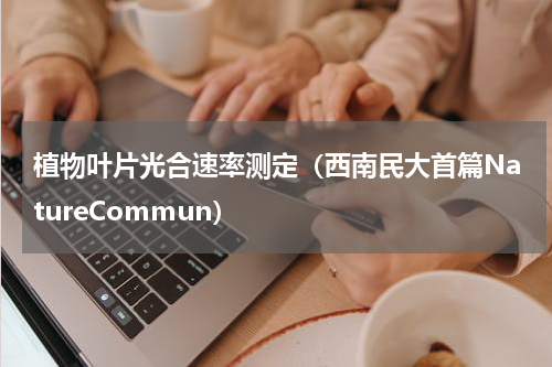 植物叶片光合速率测定（西南民大首篇NatureCommun）