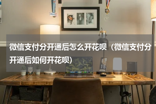 微信支付分开通后怎么开花呗（微信支付分开通后如何开花呗）
