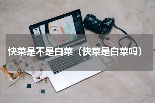 快菜是不是白菜（快菜是白菜吗）