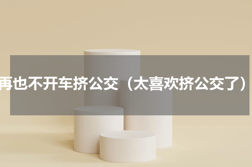 再也不开车挤公交（太喜欢挤公交了）